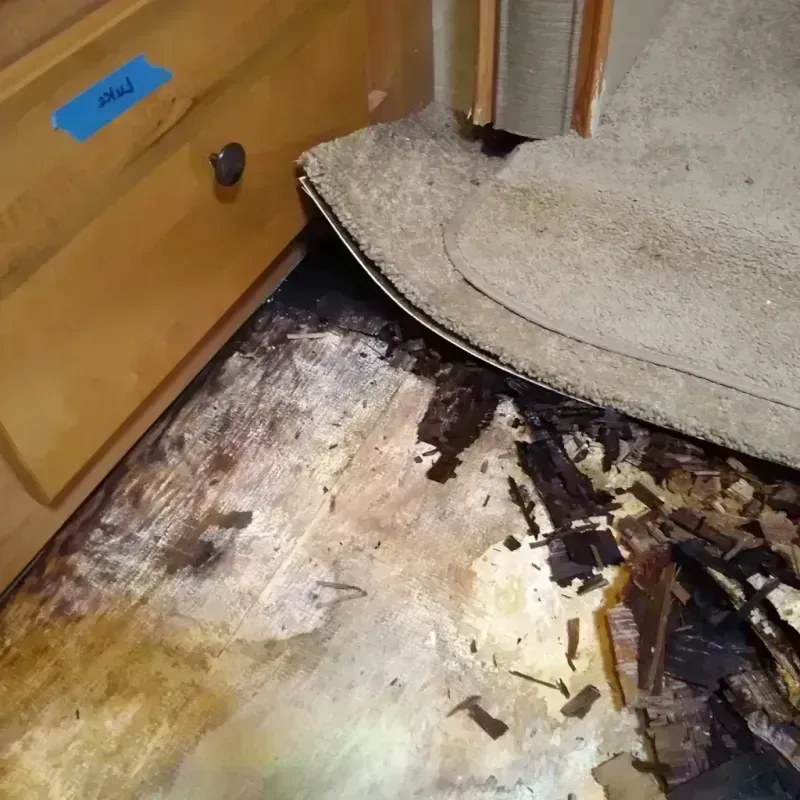 Wood Floor Water Damage in Crested Butte, CO